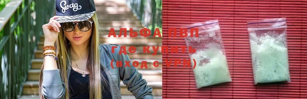 СК Горно-Алтайск