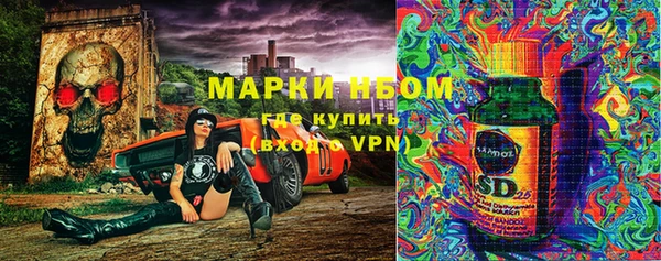 СК Горно-Алтайск