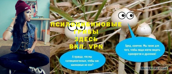 бутират Горняк