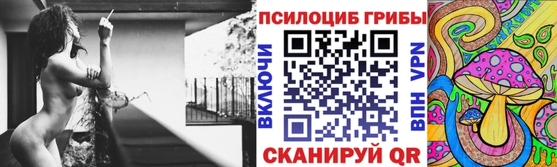 Псилоцибиновые грибы MAGIC MUSHROOMS  Купить  Клин 
